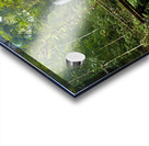 Munduk Waterfalls Bali 4 Acrylic print