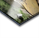 The Lizard Munduk Bali Acrylic print