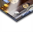 Cuty Cat Jeju South Korea Acrylic print