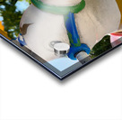 Jumping Horses for Kids Seoul South Korea Acrylic print