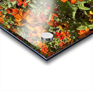 Orange Flowers Seoul South Korea Acrylic print