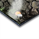 The Black Wall and the Orange Flower Jeju Korea Acrylic print