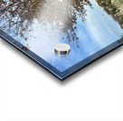 Stone Park Jeju South Korea 6 Acrylic print