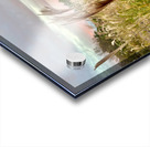 Stone Park Jeju South Korea 10 Acrylic print