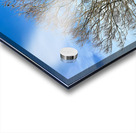 Stone Park Jeju South Korea 5 Acrylic print