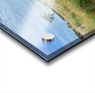 Stone Park Jeju South Korea 2 Acrylic print