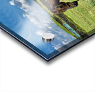 Seopjikoji Jeju South Korea 3 Acrylic print