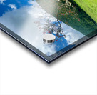 The Tree Jeju South Korea Acrylic print