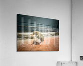 Birdie Acrylic Print