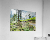 Drive Through Tea Plantations Acrylic Print