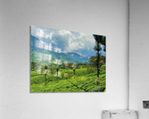 Tea Plantation Wonders Acrylic Print