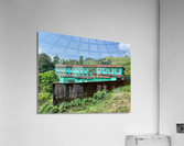 Living in the Tea Plantation Acrylic Print