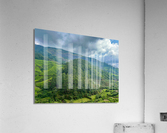 Tea Plantations 6 Acrylic Print