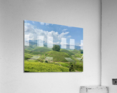 Tree Through the Tea 2 Acrylic Print