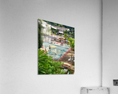 Basketball Court Acrylic Print