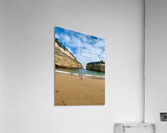 Bird on the Beach Acrylic Print