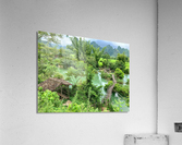 Across the Bamboo Bridge Acrylic Print