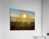 Sunset Over the Field Acrylic Print