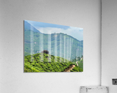 Rock on Top of Tea Acrylic Print