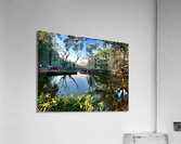 Village Reflection Acrylic Print