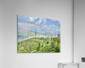 Beautiful River Through Tea Plantations Acrylic Print