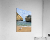 Bird on the Beach 2 Acrylic Print