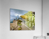 Corn  Coconuts Acrylic Print
