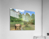 Horses in Paradise Acrylic Print