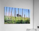 House behind the Bamboos Impression acrylique