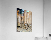 Dog Waiting Acrylic Print