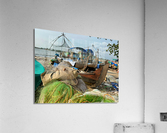 Fishing Boats on the Beach Acrylic Print