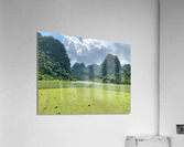 Lonely Horse Acrylic Print