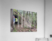 Train Through the Mini Tunnel Acrylic Print