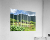 Wild horses Acrylic Print