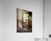 Goat by the Door Acrylic Print