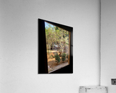 Tree by the Window 2 Acrylic Print