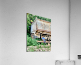 Playing with the Big Truck Acrylic Print