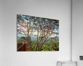 The Tree Impression acrylique