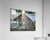 Puppy Walking Down Acrylic Print