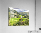 Rice Valley Acrylic Print