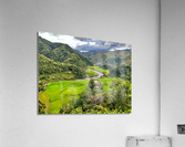 Rice Valley 2 Acrylic Print