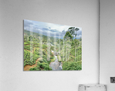 River Through the Tea Plantations Impression acrylique