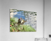 Duck Ready to Fly Acrylic Print