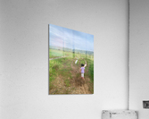 I ll Get There Soon Acrylic Print