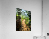 Enter the Rice Fields Acrylic Print