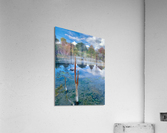 Mysterious Reflection Acrylic Print