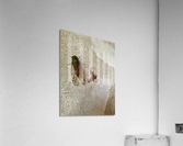 The Fly Acrylic Print