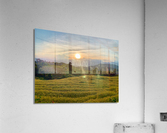 Sunset over the Rice Fields Acrylic Print