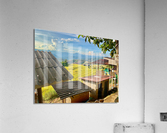 Rice Fields Village Acrylic Print