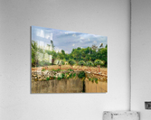 Plant Pots on a Stand Acrylic Print